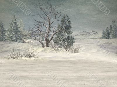 Winter Background