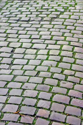 Old Cobbles with Green Moss