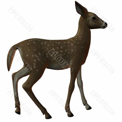 3D Fawn