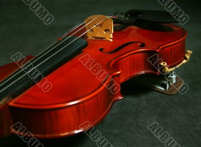 Violin