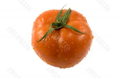 tomato with drops