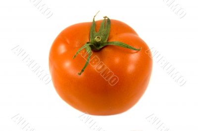 red tomato