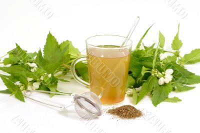 Herb Tea