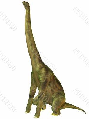 Brachiosaurus