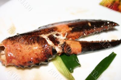 Lobster Claw