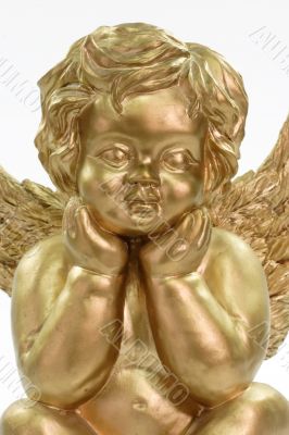 Thinking Cherub