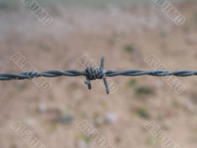 barbed wire fence close-up