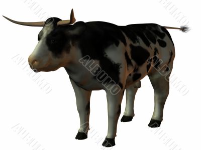 3D Bull