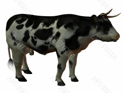 3D Bull