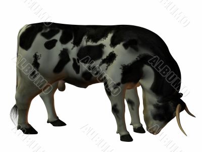 3D Bull