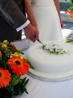 Wedding Wedding