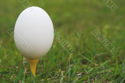 Egg on a Golf Tee