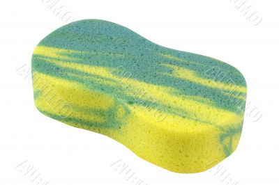 Colorful Sponge