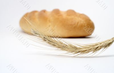 Wheat Ear And Bread Wheat Ear And Bread