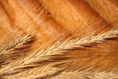 Bread And Wheat Bread And Wheat