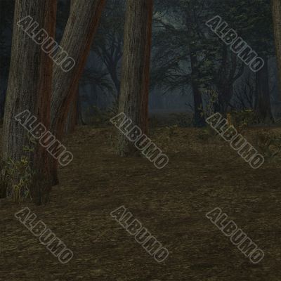 Forrest Background