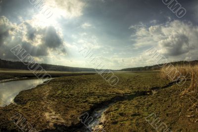 Fairy-tale bog