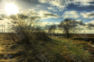 Fairy-tale bog