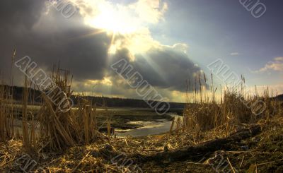 Fairy-tale bog