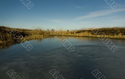 Frozen bog