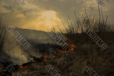 Burning bog