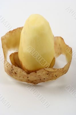 Potato isolated in White Background