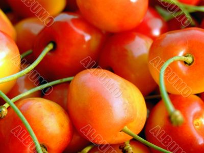 Double color cherries