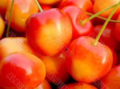 Double color cherries