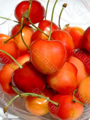 Double color cherries