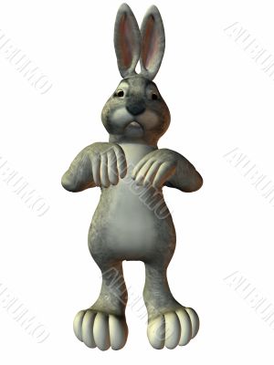 Mr Bunny