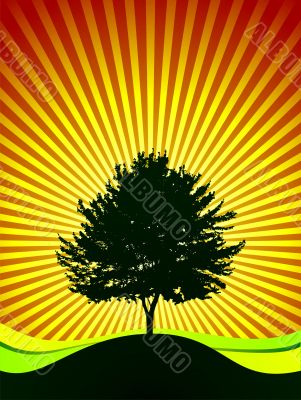 vector tree on shine background