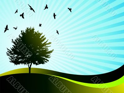 vector  landsape with tree and birds