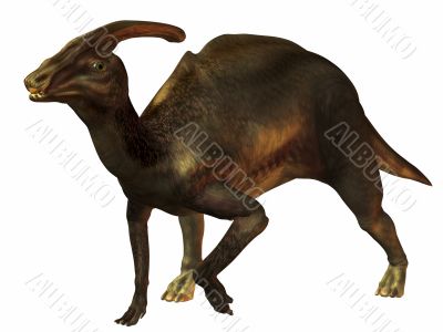 Parasaurolophus