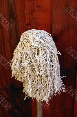 Mop Head