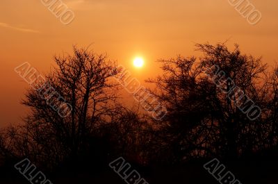 sunset sunset