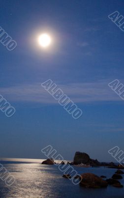 The sea lighted by the moon