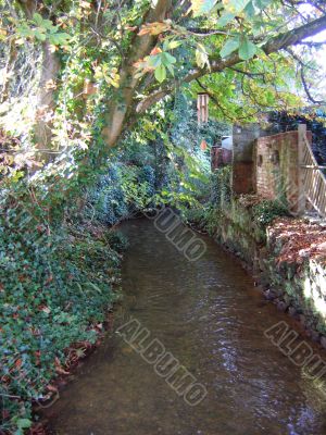 Small River Overgrown by Trees in Sunshine