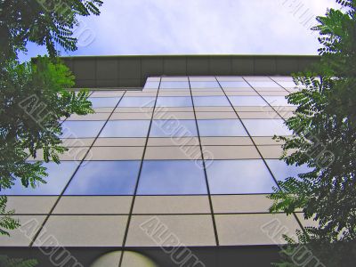 Mirror Office and Trees
