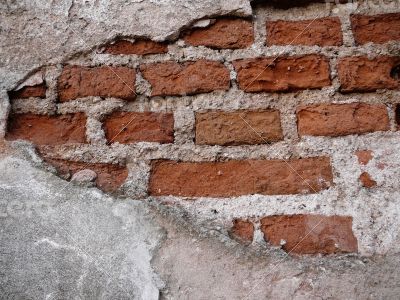 brick wall opt