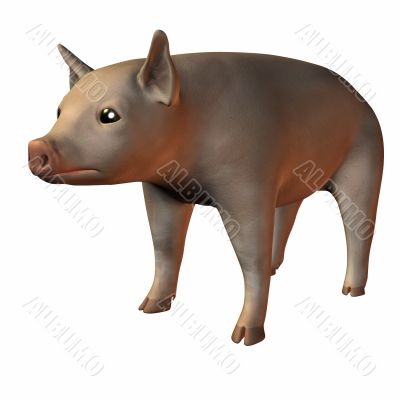 Piglet 3D
