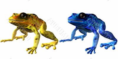 Poison Dart Frog-Phyllobates terribilis