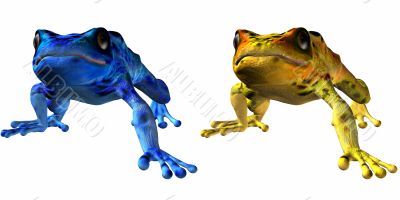 Poison Dart Frog-Phyllobates terribilis