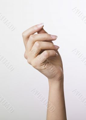 Woman`s hand