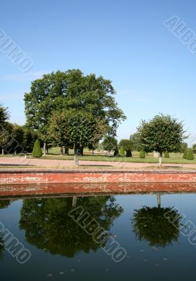 Two trees are reflected in the calm pond