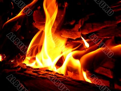 brihgt fire brihgt fire