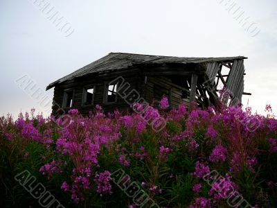 old shed