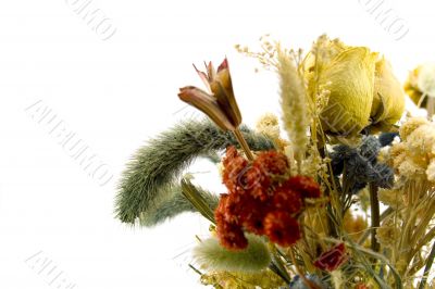dried bouquet