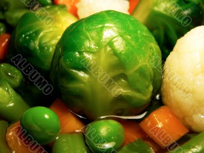 vegetable meal vegetable meal