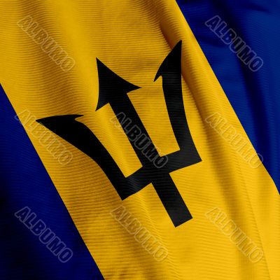Barbadian Flag Closeup