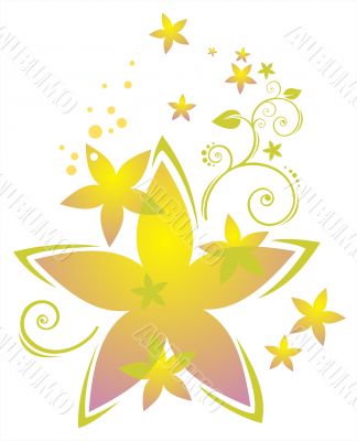 floral pattern floral pattern